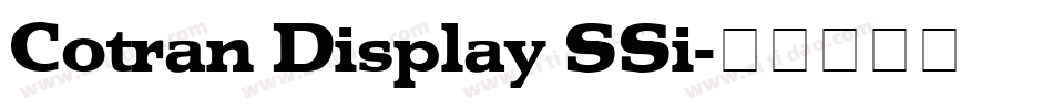 Cotran Display SSi字体转换